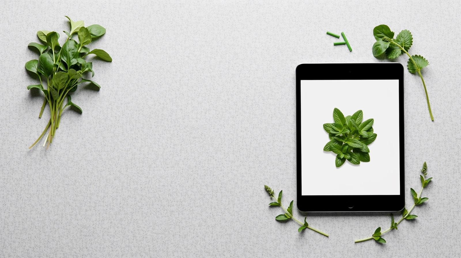 Nutrición Profesional